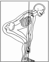 Preparing for a deadlift with "perfect" form, again according to skeletal position