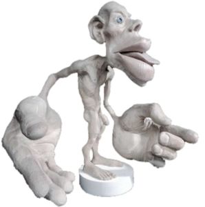 homonculus